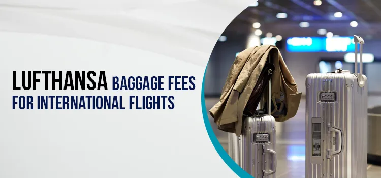 Lufthansa Baggage Fees For International Flights
